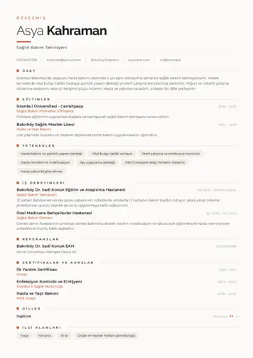  cv indir